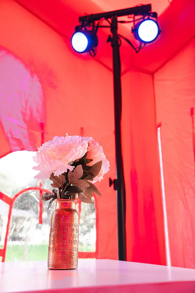 Partytent Fuchsia Fantasie 3